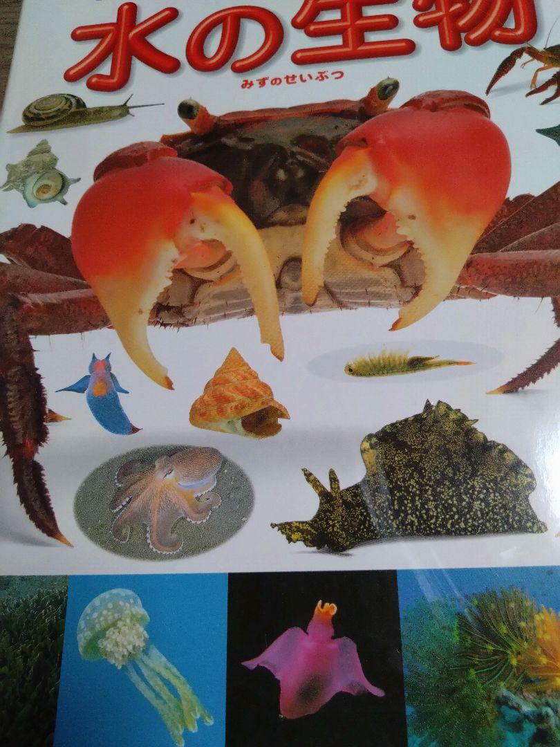 学研小学館 ポプラ社PHPの図鑑セット 12冊 - メルカリ