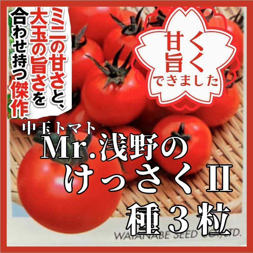 野菜の種】中玉トマト「Mr.浅野のけっさくⅡ」種3粒 甘さと旨さ