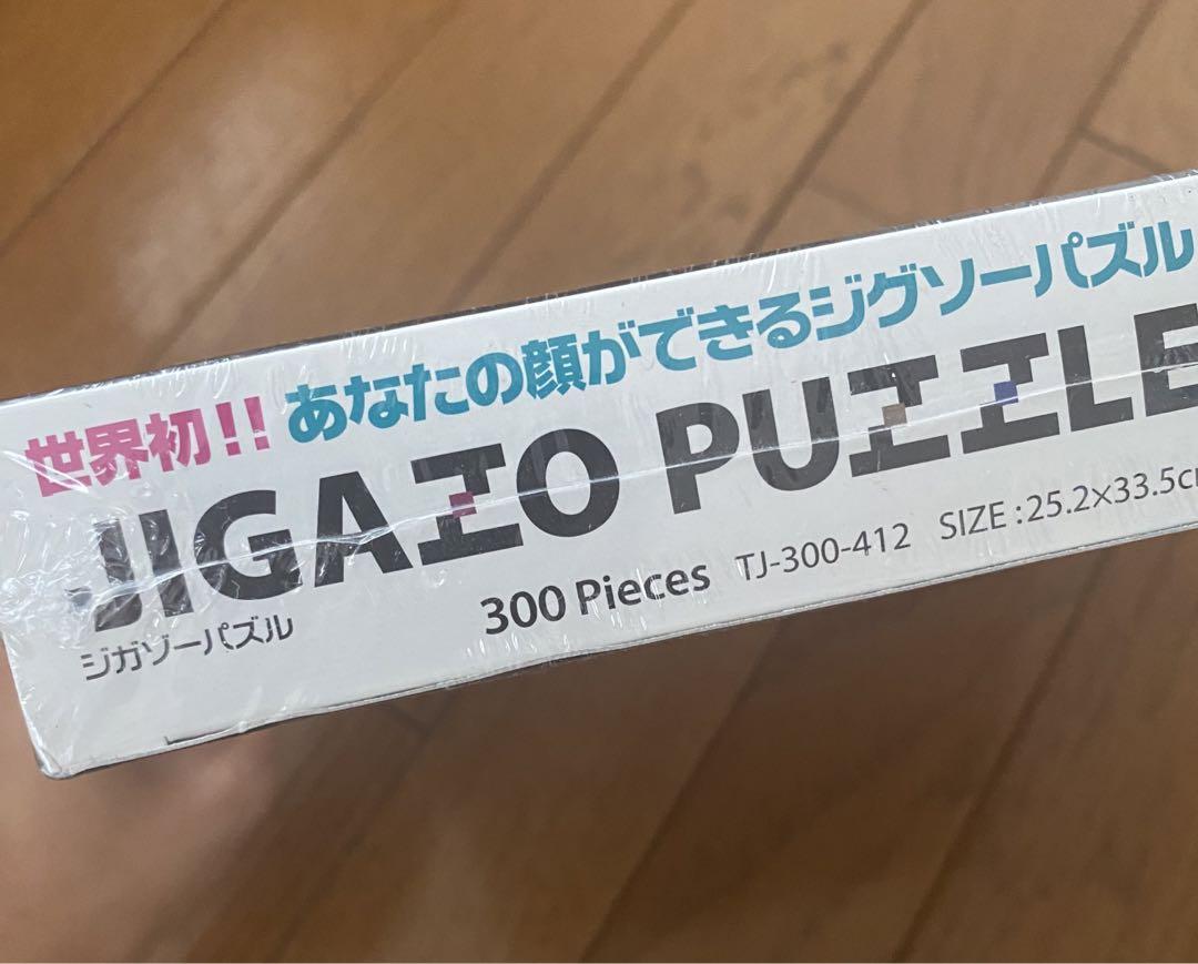 未使用品】テンヨー ジガゾーパズル セピア 300ピース TJ-300