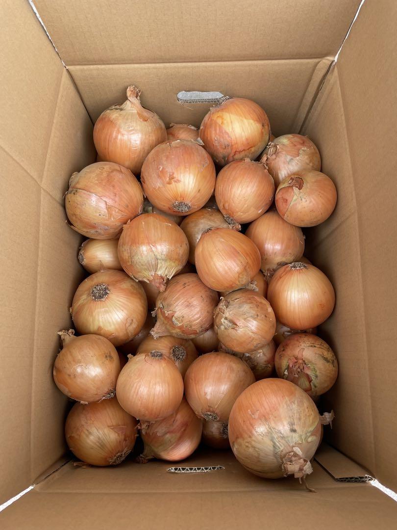 [農家直送]送料無料 淡路島産 玉ねぎ ターザン 20kg ☆秀品☆