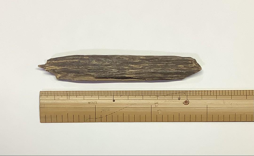 約11cm