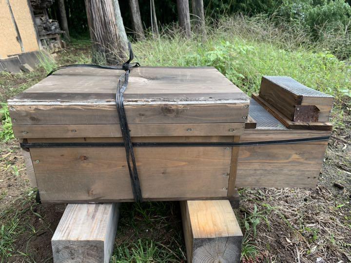 nkks様専用 スズメバチ捕獲器20個