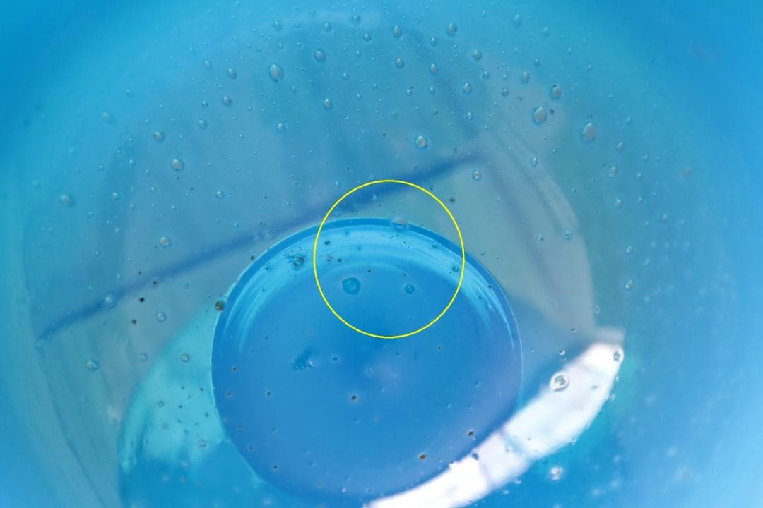 Erik Hoglund エリックホグラン コンポート 93961 - メルカリ