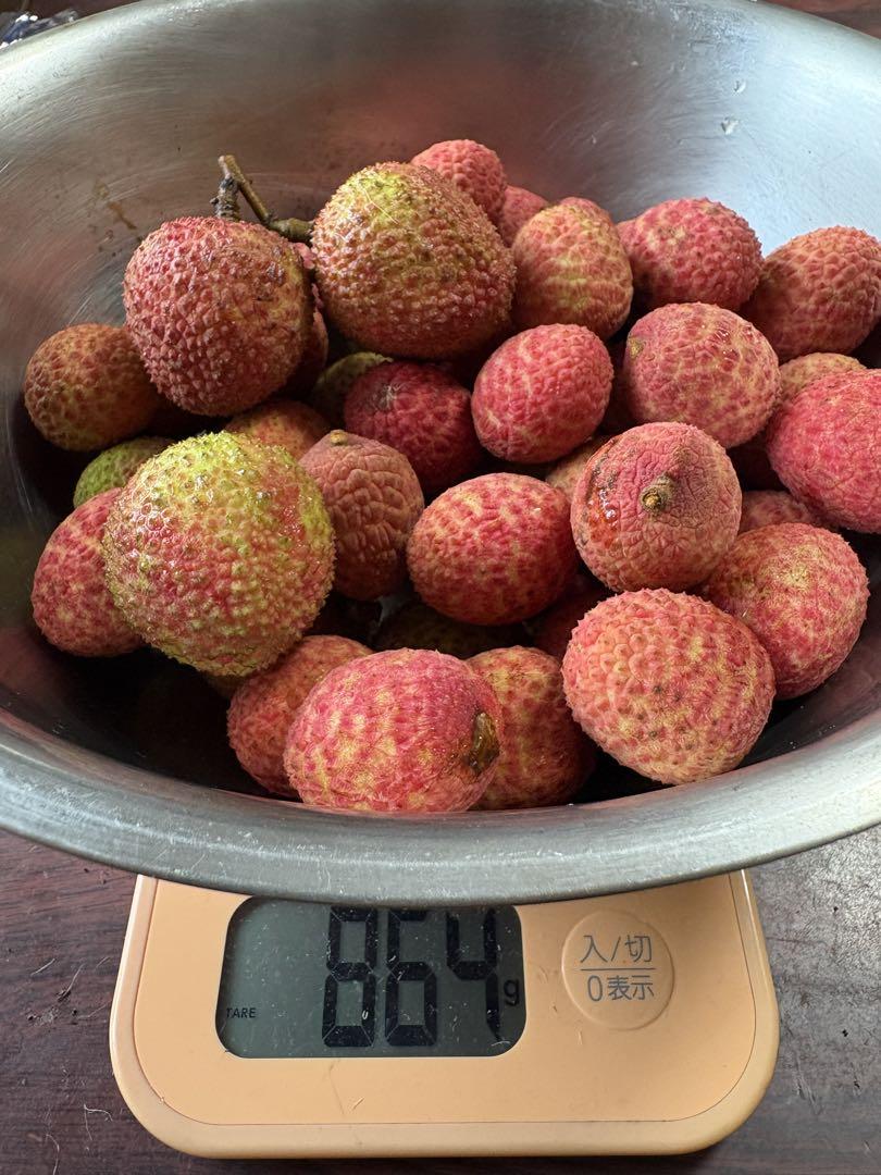 石垣島産 生ライチ 860g
