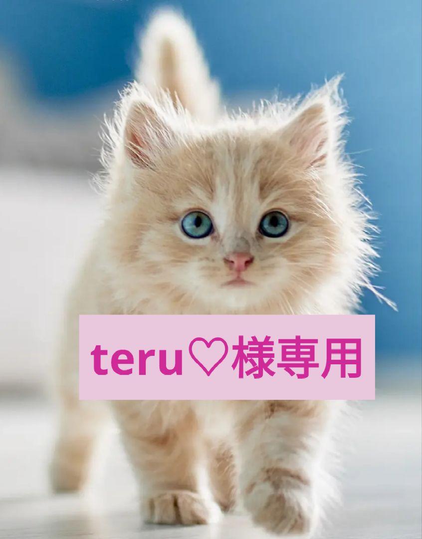 teru♡　キャットフード