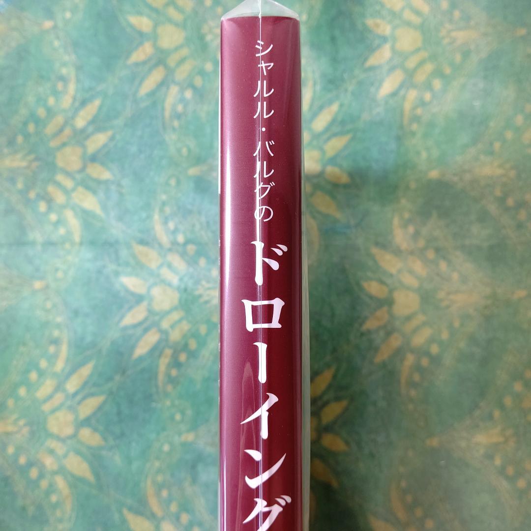 シャルル・バルグのドローイングコース