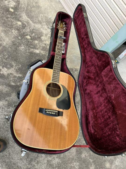 独特な店 専用 ハードケース付き PT-010-ST ギター タカミネ Takamine ギター