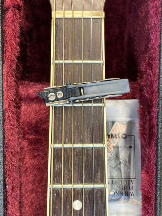 専用 Takamine タカミネ ギター PT-010-ST ハードケース付き
