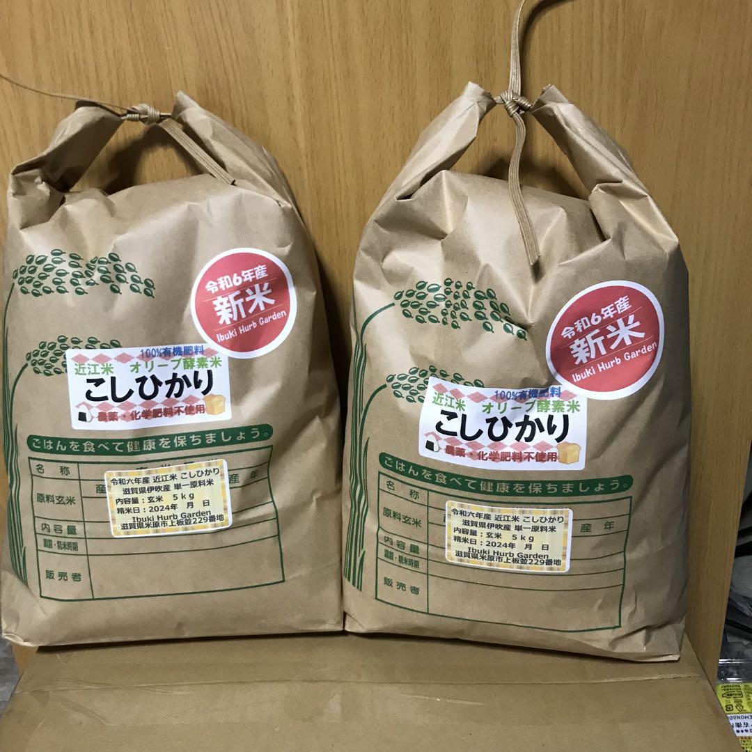 ラスト 新米 六年産 無農薬 近江米コシヒカリ オリーブ酵素米