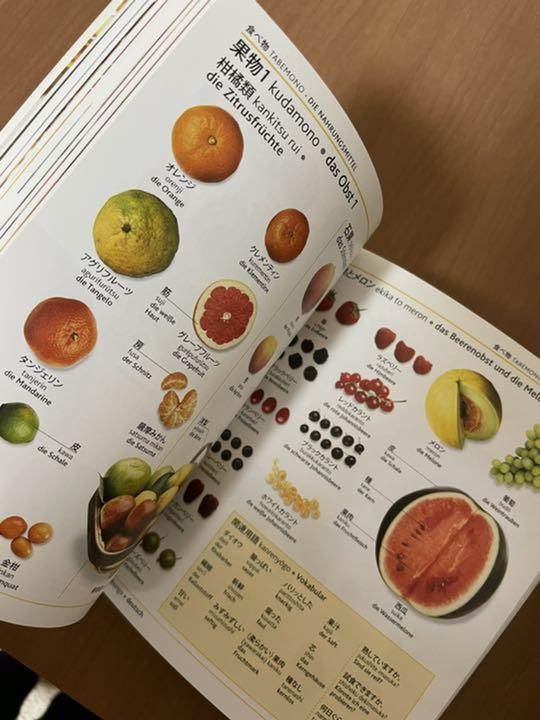 和独ビジュアル辞典