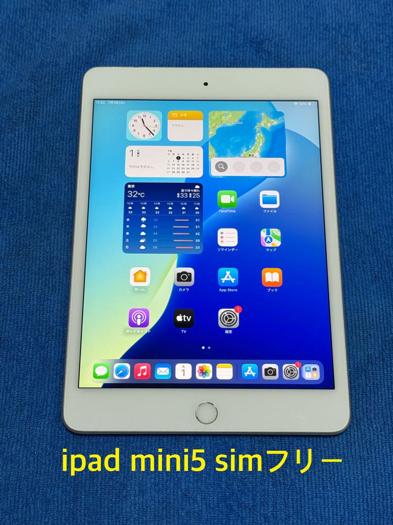 iPad mini 第5世代 Wi-Fi+Cellular 64GBシルバー23
