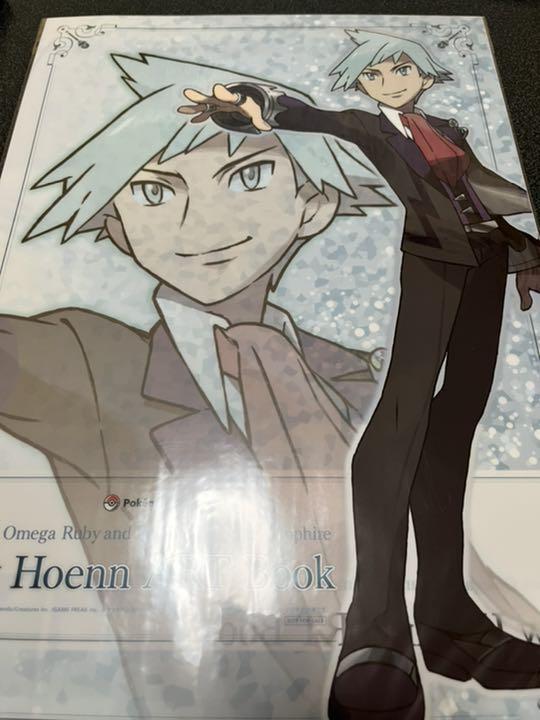 ポケットモンスター New Hoenn ART Book Pokemon Omega Ruby and Alpha Sapphire New Hoenn Art Book