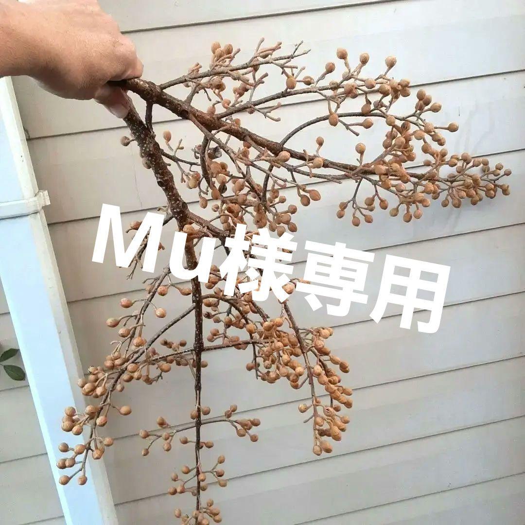ドライフラワー素材❕桐のつぼみ他各種パーツ