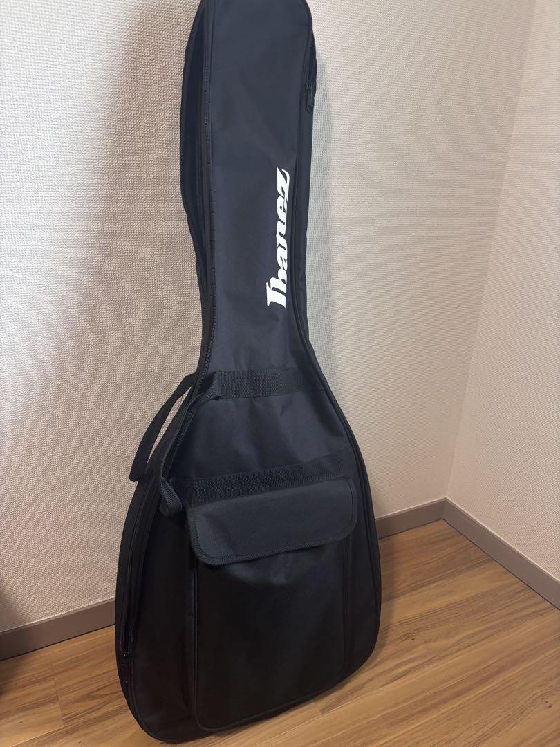 ギター Ibanez AXION LABEL 2019 RGD71AL