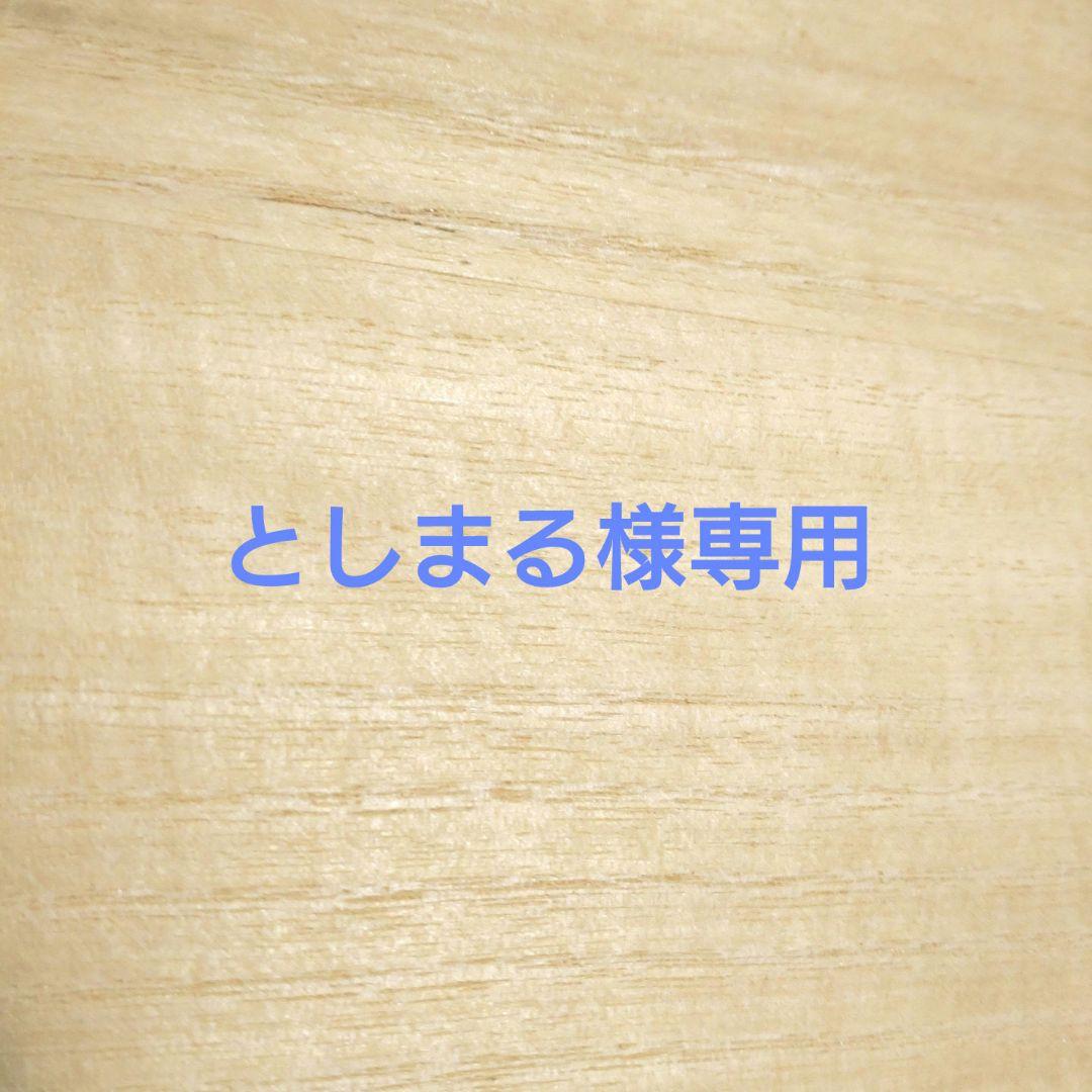 としまる様専用　ハンドメイド　小びんのコザクラインコNo.8