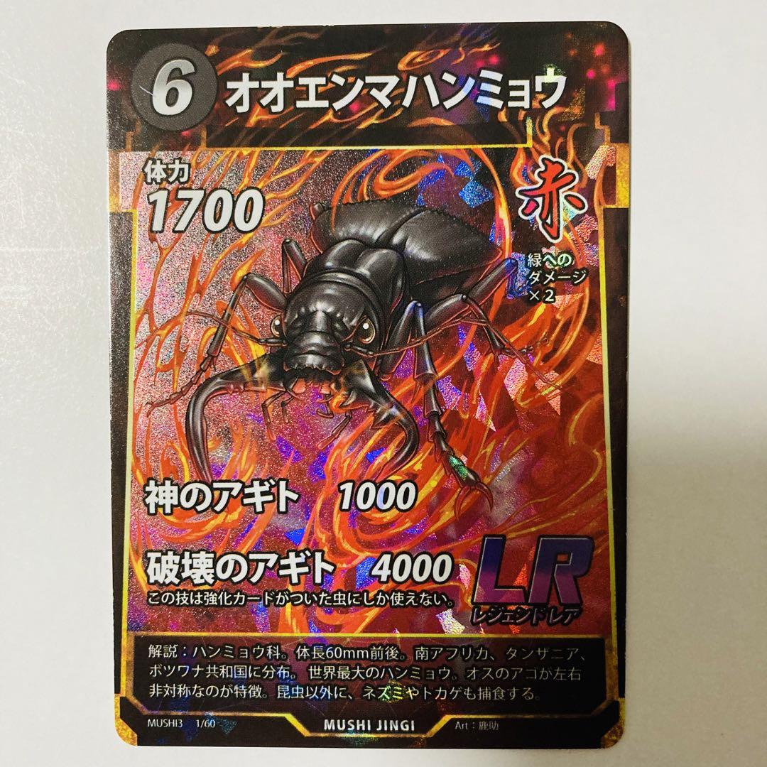 オンラインショップ オオエンマハンミョウペア（説明欄必読） 標本用品