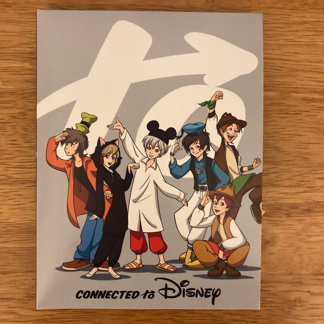 Connected To Disney 歌い手 ディズニー メルカリ