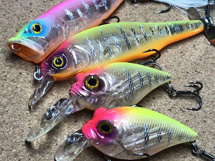 新作モデル ルアー用品 Yamahaコラボ メガバス ルアー Popx Griffon 他 4点 Www Sjemenarna Net