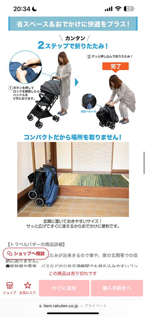 トラベルバギー