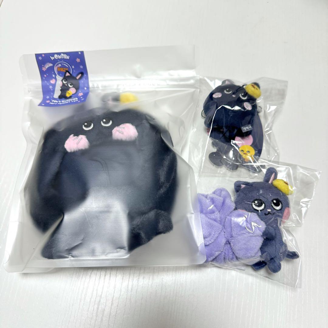 RIIZE ウォンビン トニャンドク ペンラカバー シュシュ ミニ