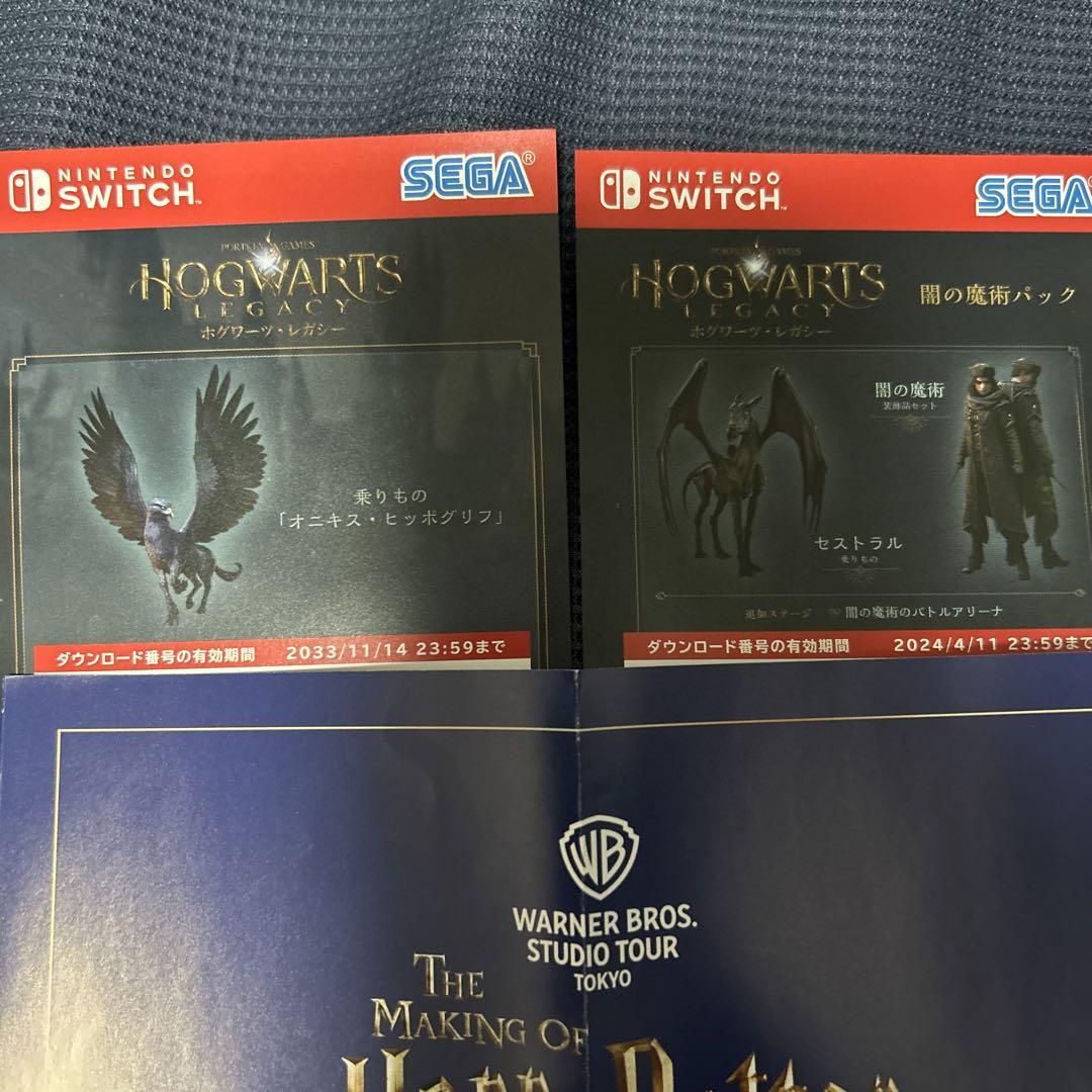 ホグワーツ・レガシー デラックス・エディション　闇の魔術パックコード未使用