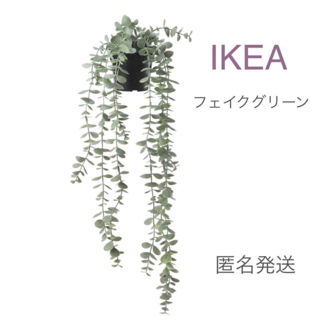 メルカリ 新品 イケア Ikea フェイクグリーン ユーカリ 植物 観葉植物 1 650 中古や未使用のフリマ メルカリ 新品 イケア Ikea フェイクグリーン ユーカリ 植物 観葉植物 1 650 中古や未使用のフリマ