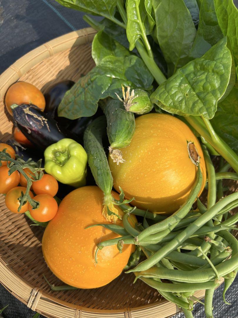家庭菜園野菜とキヌヒカリ玄米１０キロ