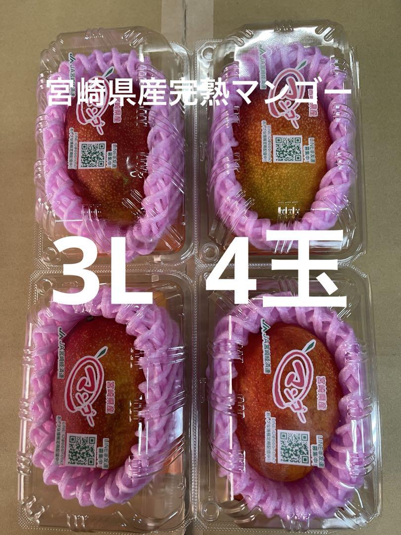 宮崎完熟マンゴー3L 4玉
