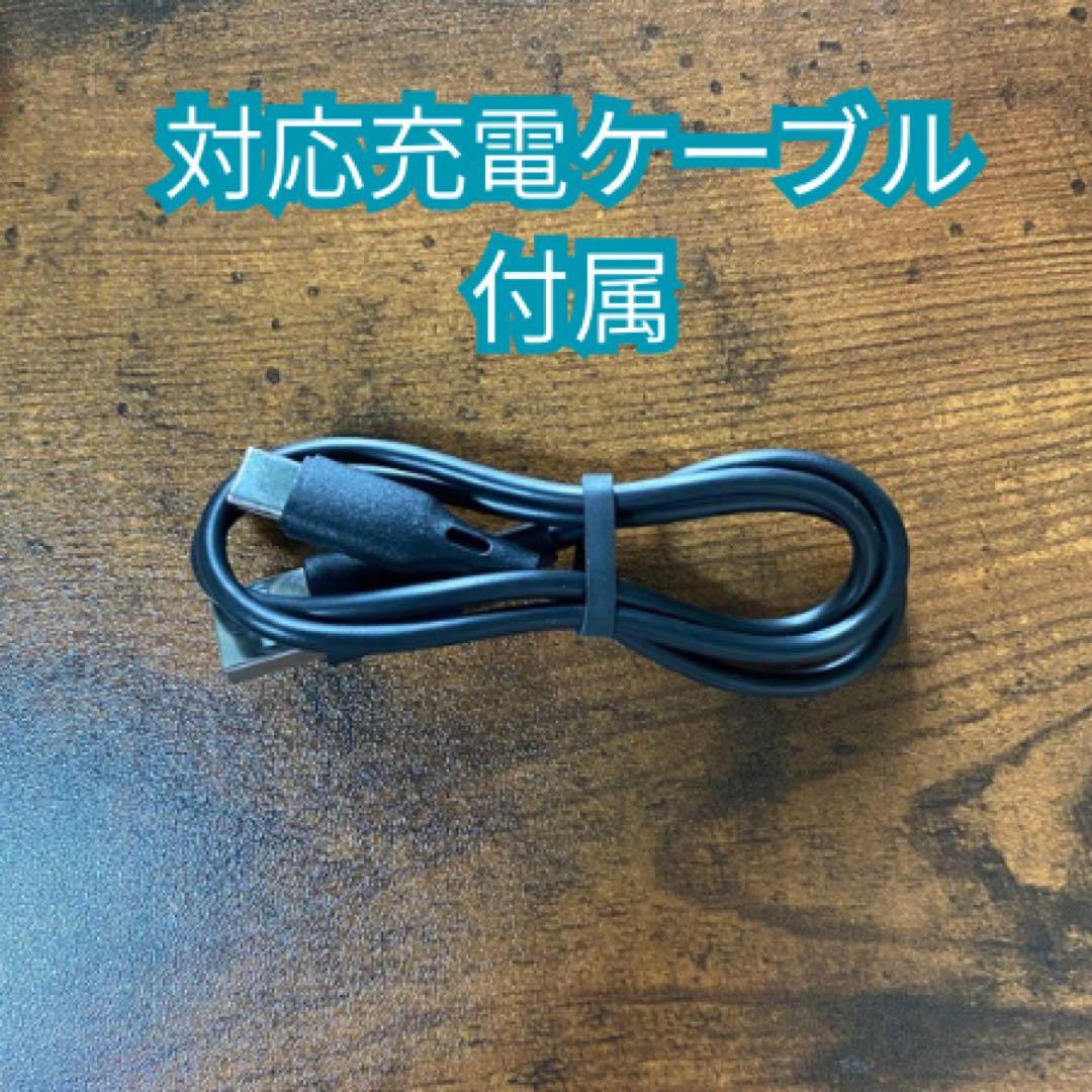 Type-CバッテリーGAMEBOY ADVANCE