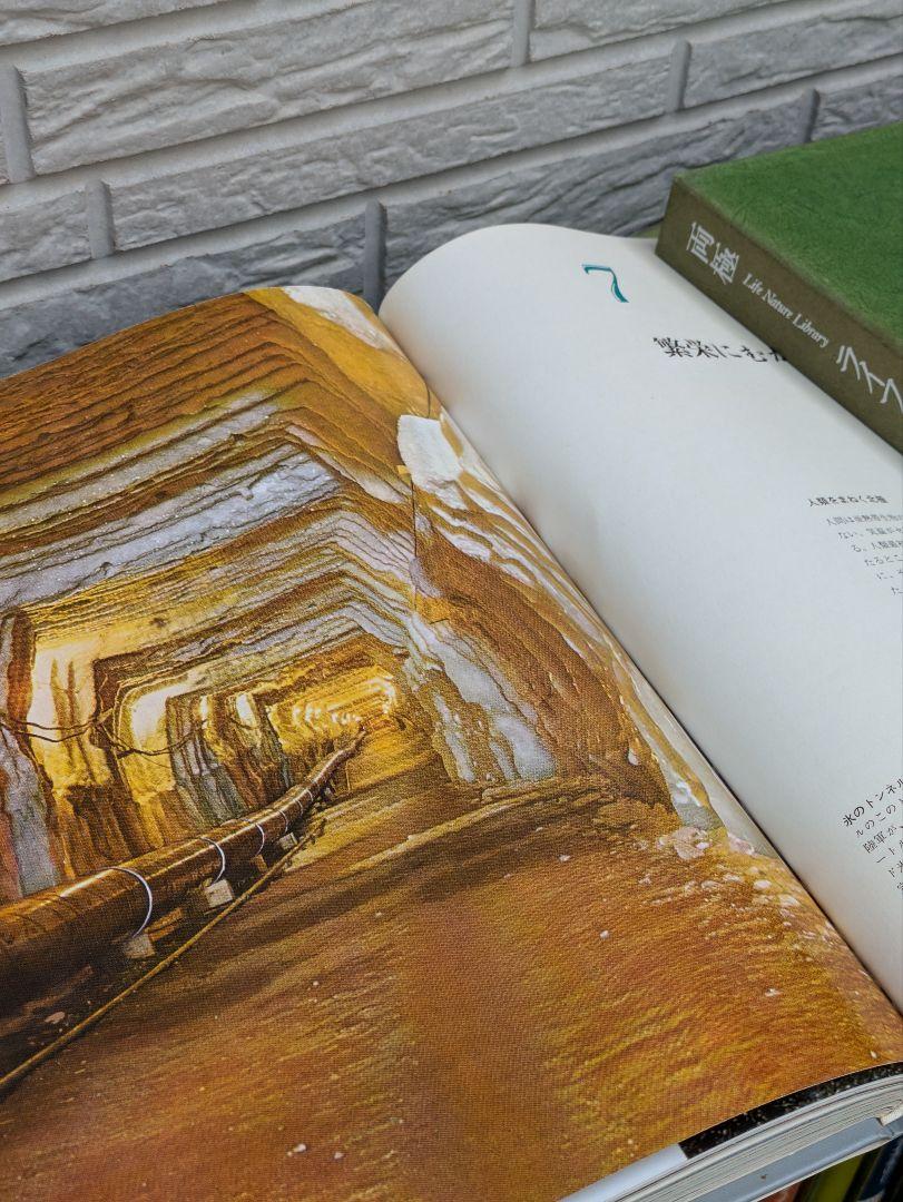 Life Nature Library 26巻+別冊2巻 計全28冊セット