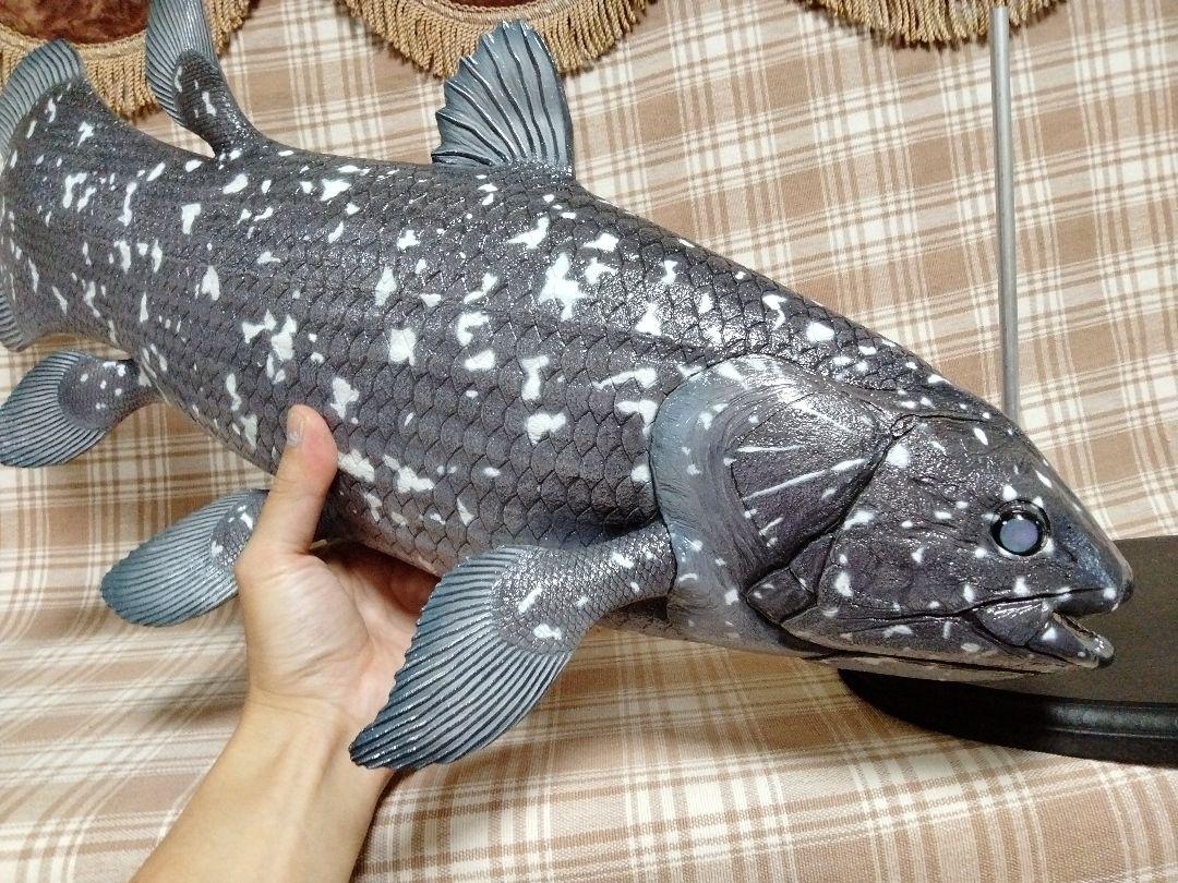 ハンドメイド 61cmシーラカンス フィギュア レプリカ 化石魚