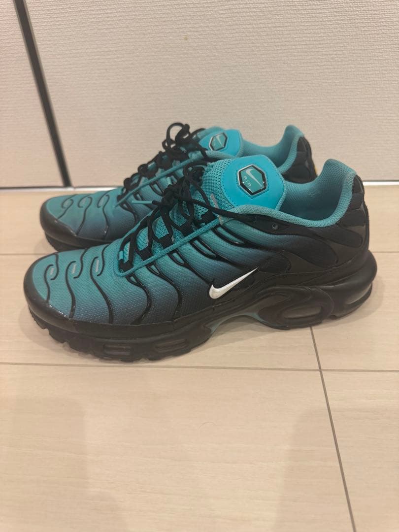 Nike Air Max Plus 9.5 US