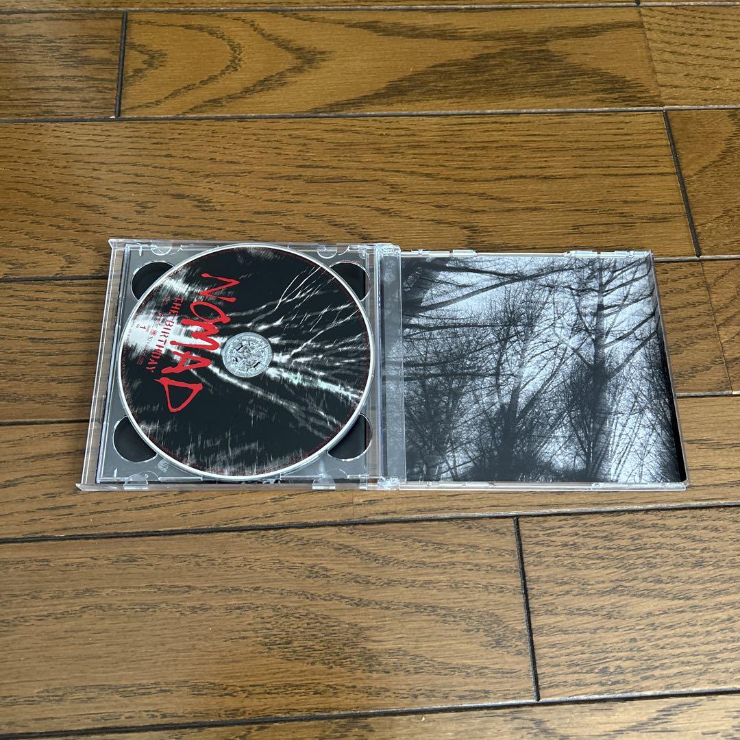 The Birthday 初回盤　チバユウスケ