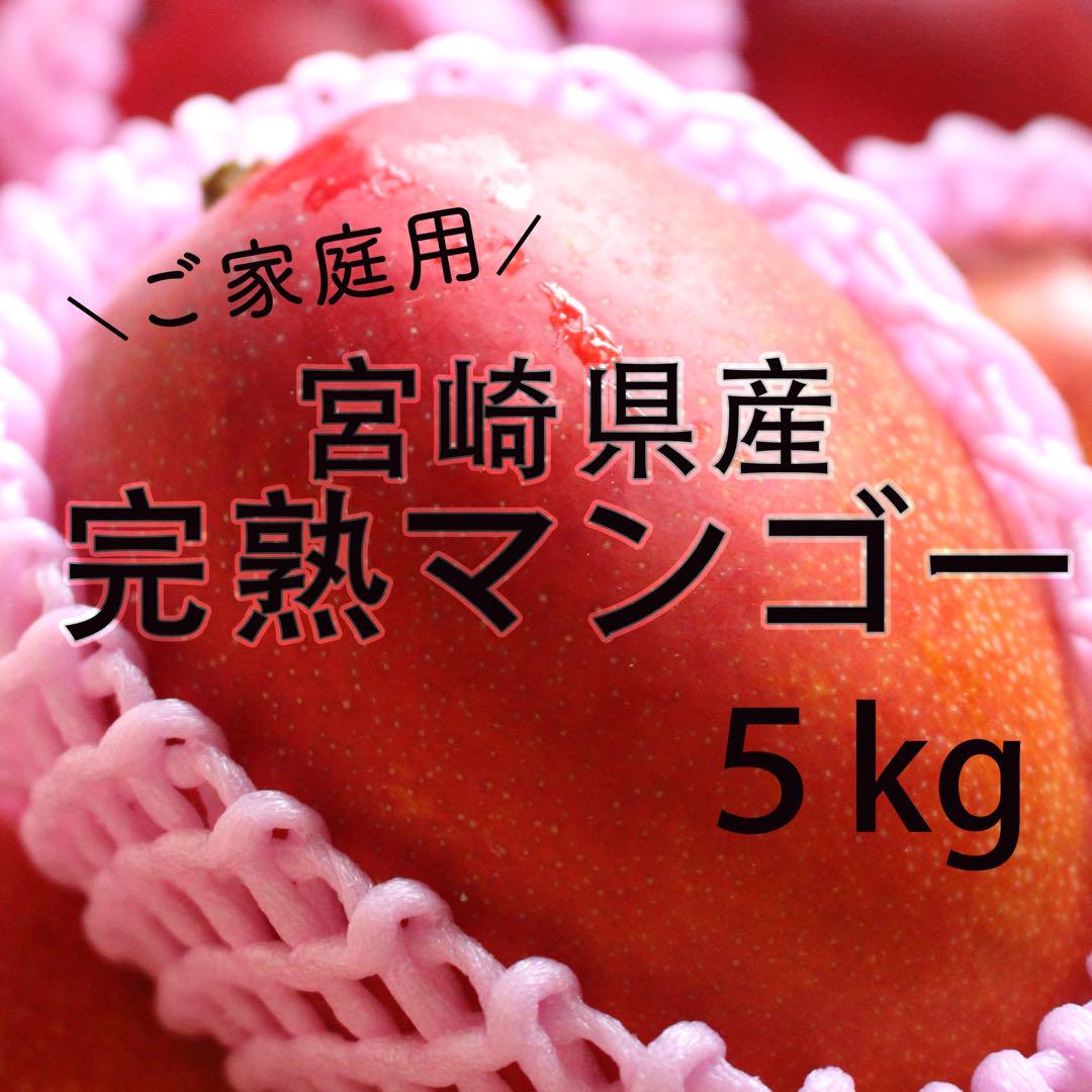 /早い者勝ち/宮崎県産マンゴー5kg