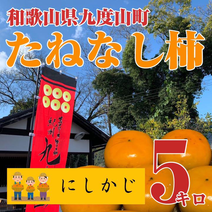 モデル着用&注目アイテム 和歌山県九度山産 中谷早生 たねなし柿 5キロ サイズ混合 家庭用1 dev.kindredmom.com モデル着用&注目アイテム 和歌山県九度山産 中谷早生 たねなし柿 5キロ サイズ混合 家庭用1 dev.kindredmom.com