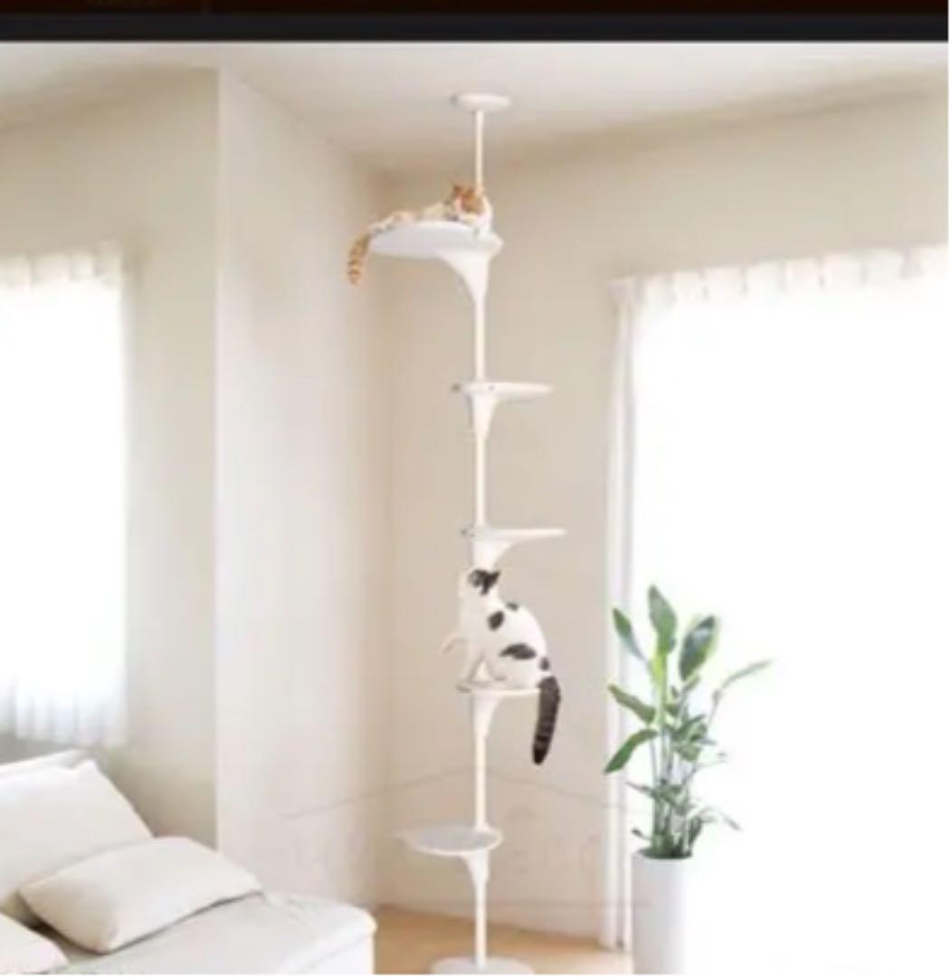 OPPO(オッポ) Cat Forest キャットフォレスト