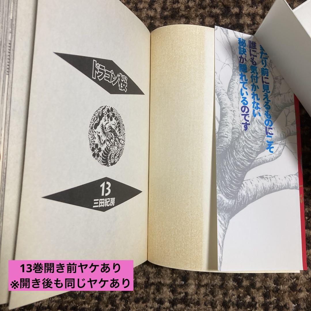 ドラゴン桜　全21巻　三田紀房