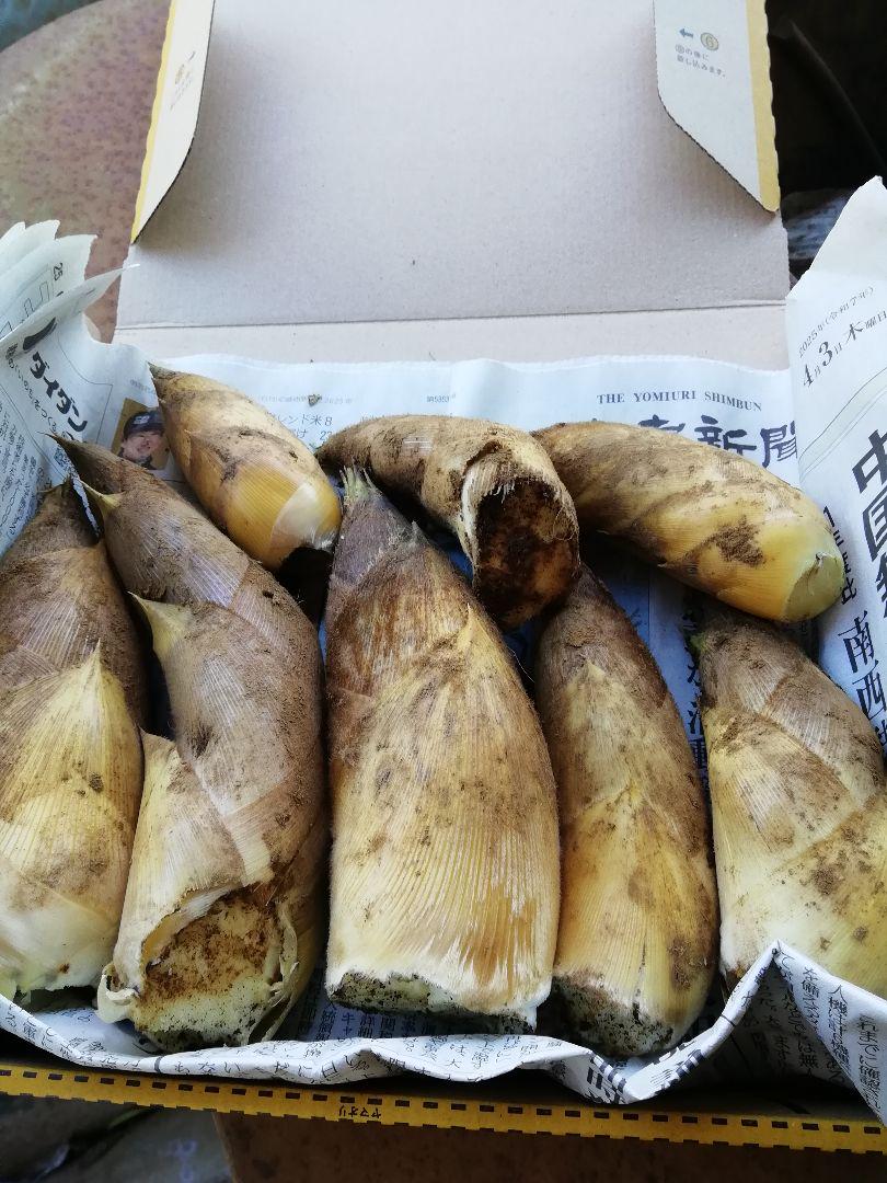 りんたろうタケノコ 20キロ りんたろう様専用タケノコ 20キロ 野菜
