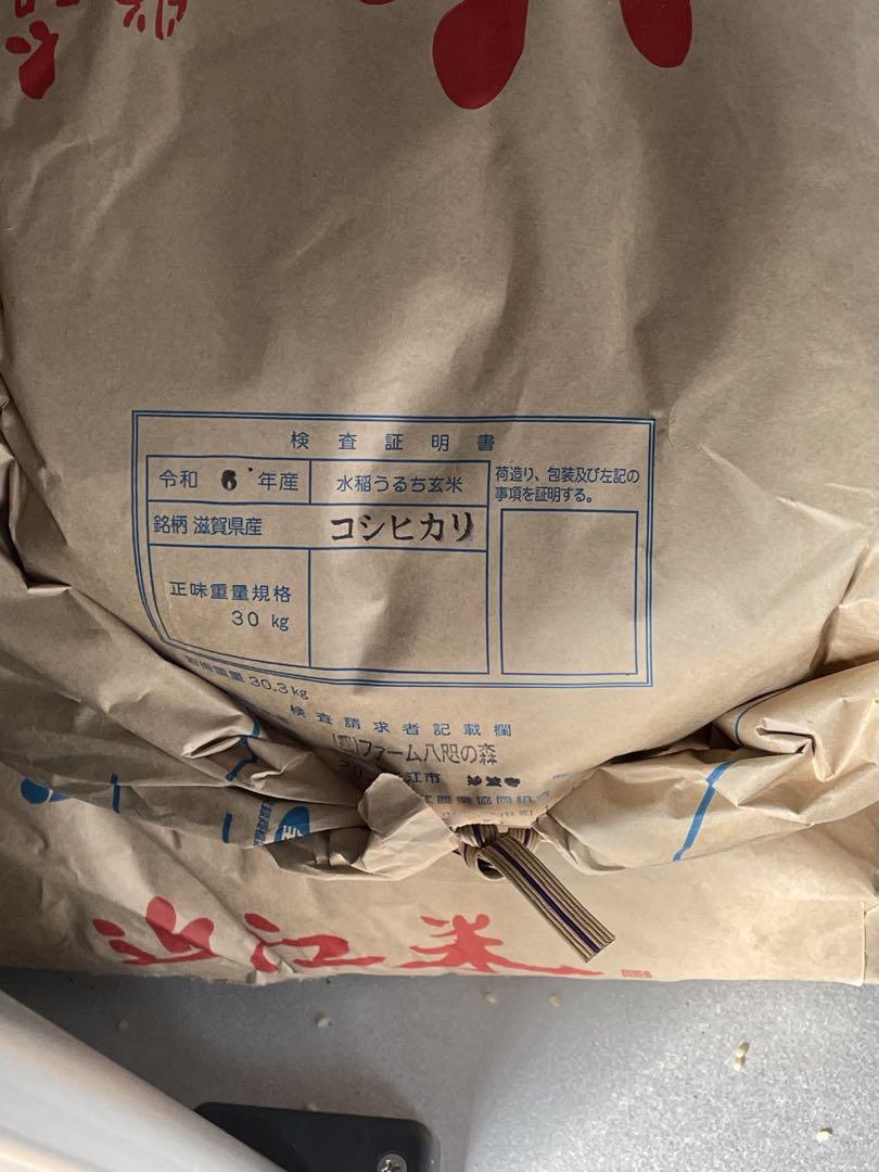 コシヒカリ 10kg 滋賀県産