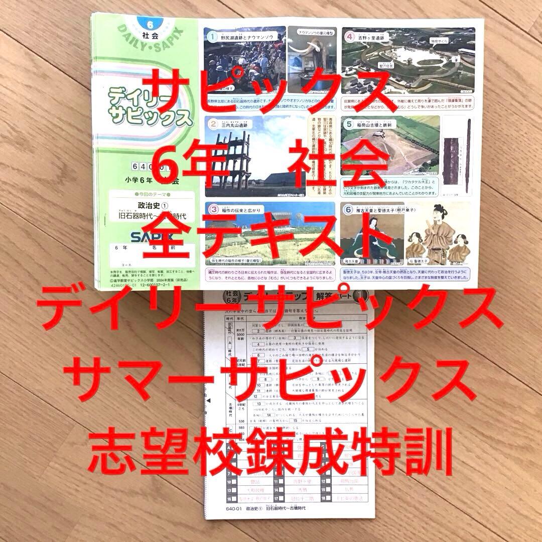 デイリーサピックス 6年生 社会 全テキスト 1年間分 夏期集中志望校練成特訓目立った傷や汚れなし