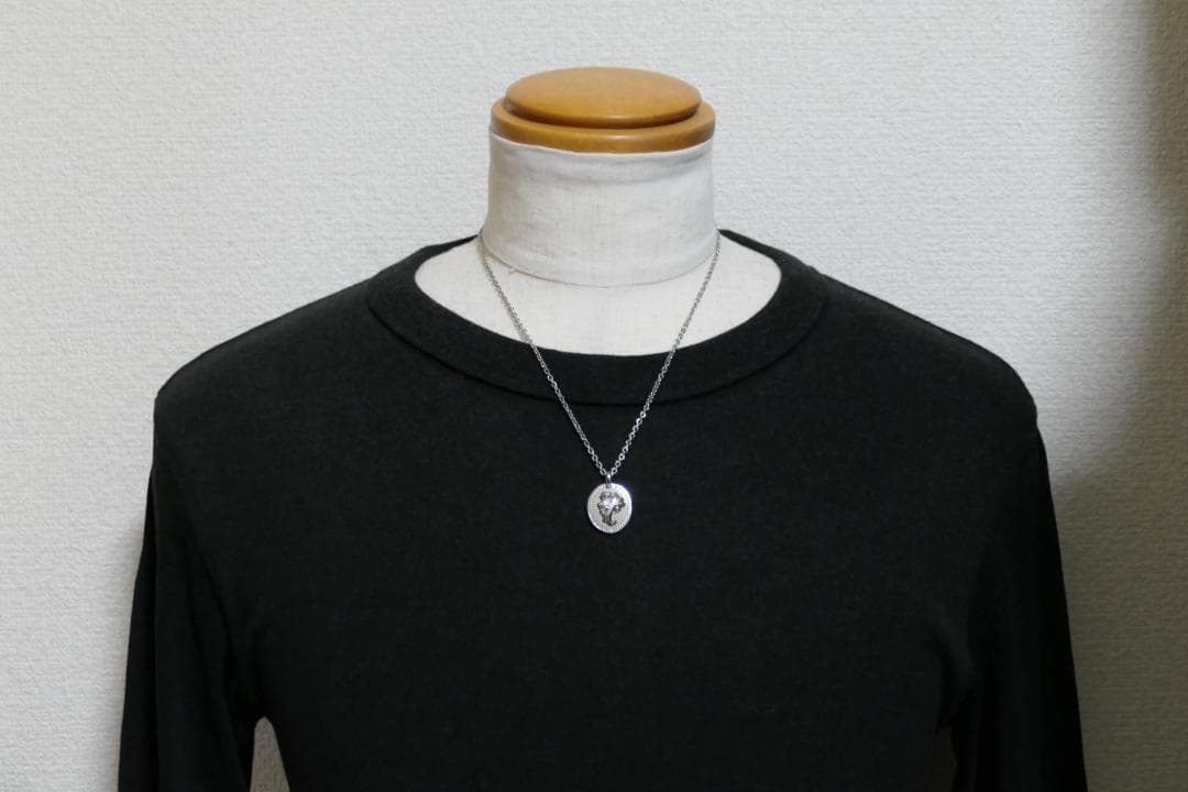 ハウル ステンレス