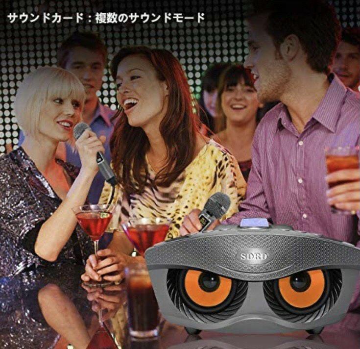 新品超特価 カラオケ 2本 セット ハイパワー 1aPUE-m33168156912 マイク スピーカー マイク 人気SALE2022