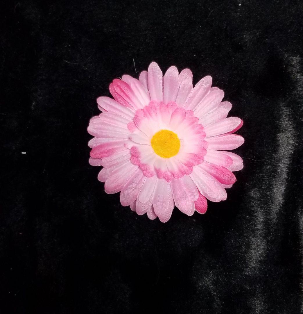 メルカリ 犬服 お花のワンピース フリフリワンピース 犬用品 1 0 中古や未使用のフリマ