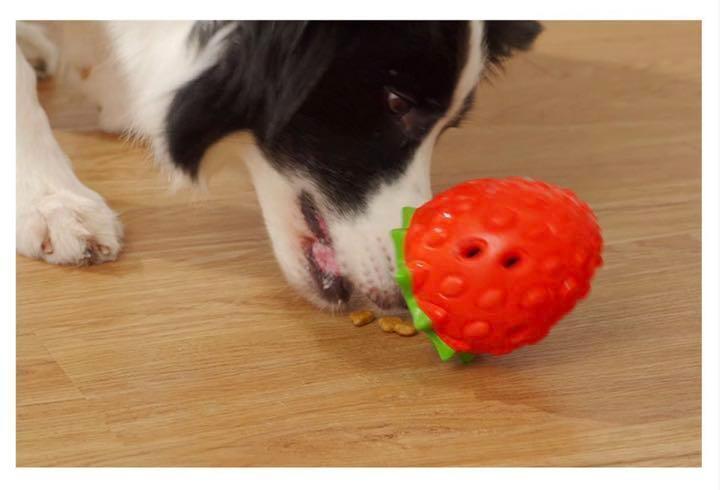 豪華な ドギーマン 犬用おもちゃ ストロング ボール SS サイズ 豪華な ドギーマン 犬用おもちゃ ストロング ボール SS サイズ
