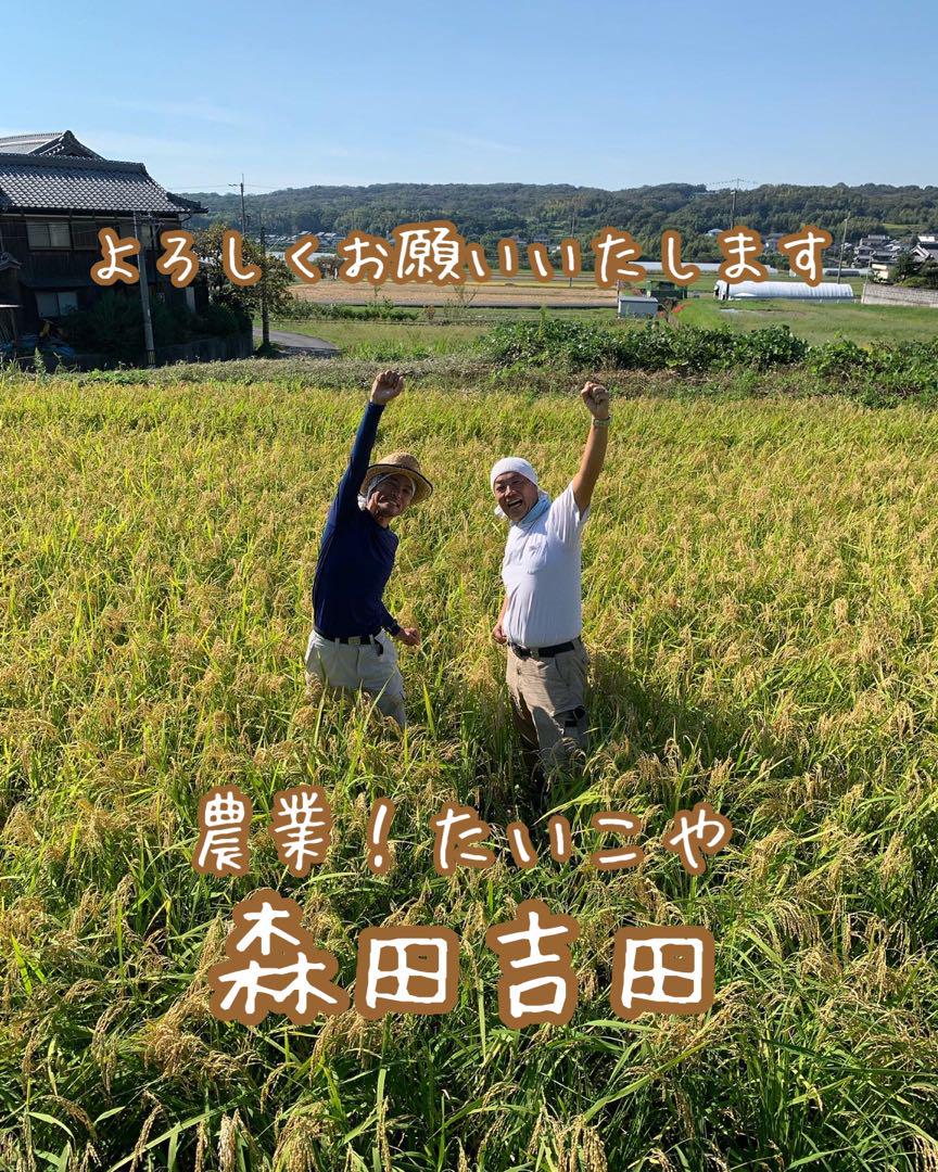自然栽培【ヒノヒカリ】玄米20kg[5kg ×4袋]新米 無農薬無施肥の