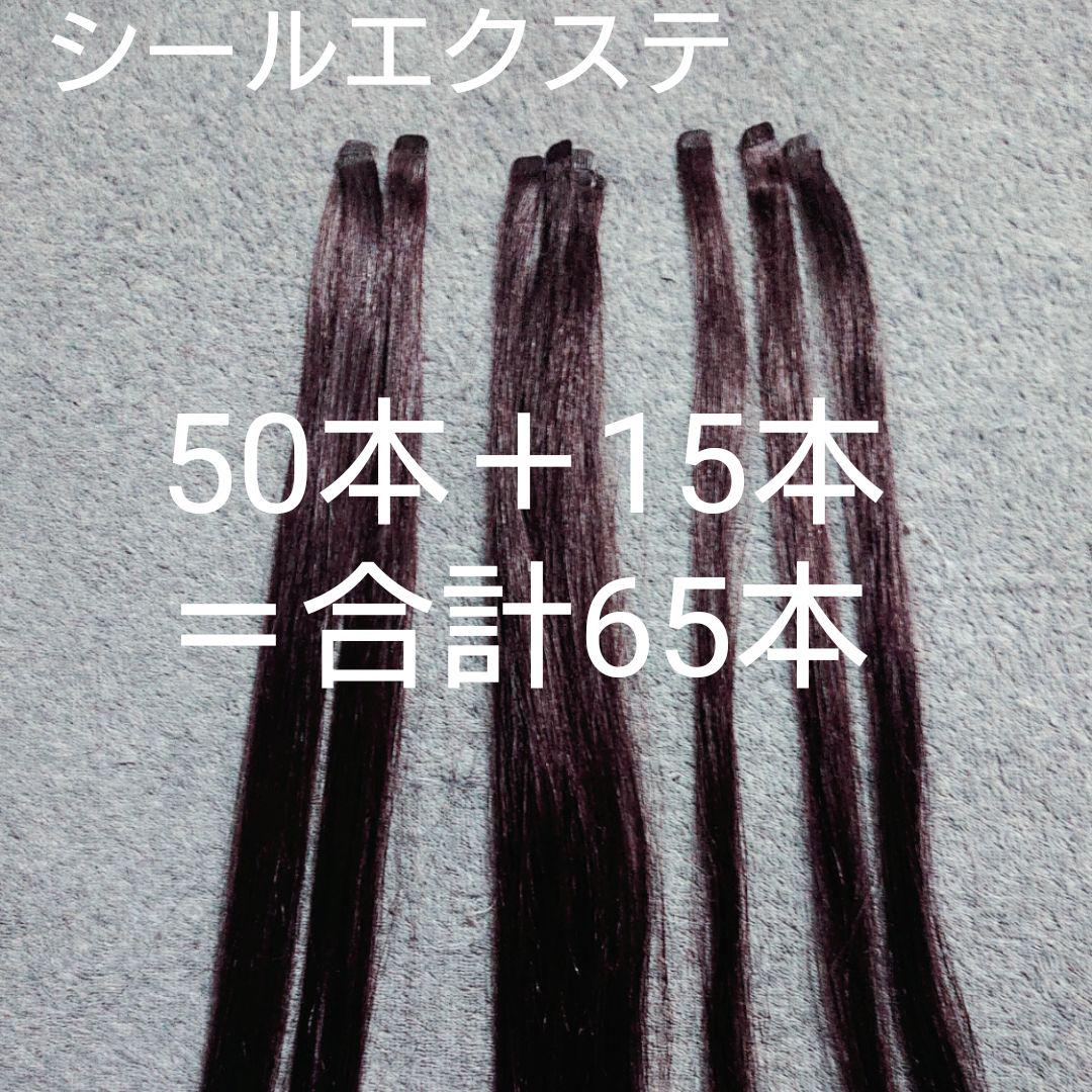 高級人毛 シールエクステ 50本+15本合計65本 高級人毛 シールエクステ 50本+15本合計65本