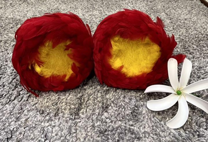 さとちゃん様専用ウリウリ フラダンス 楽器 さとちゃん様専用ウリウリ フラダンス 楽器