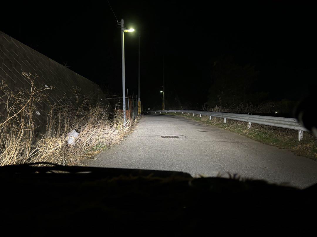 H11 LED ヘッドライト WS55 ロービーム ハイビーム フォグ 156