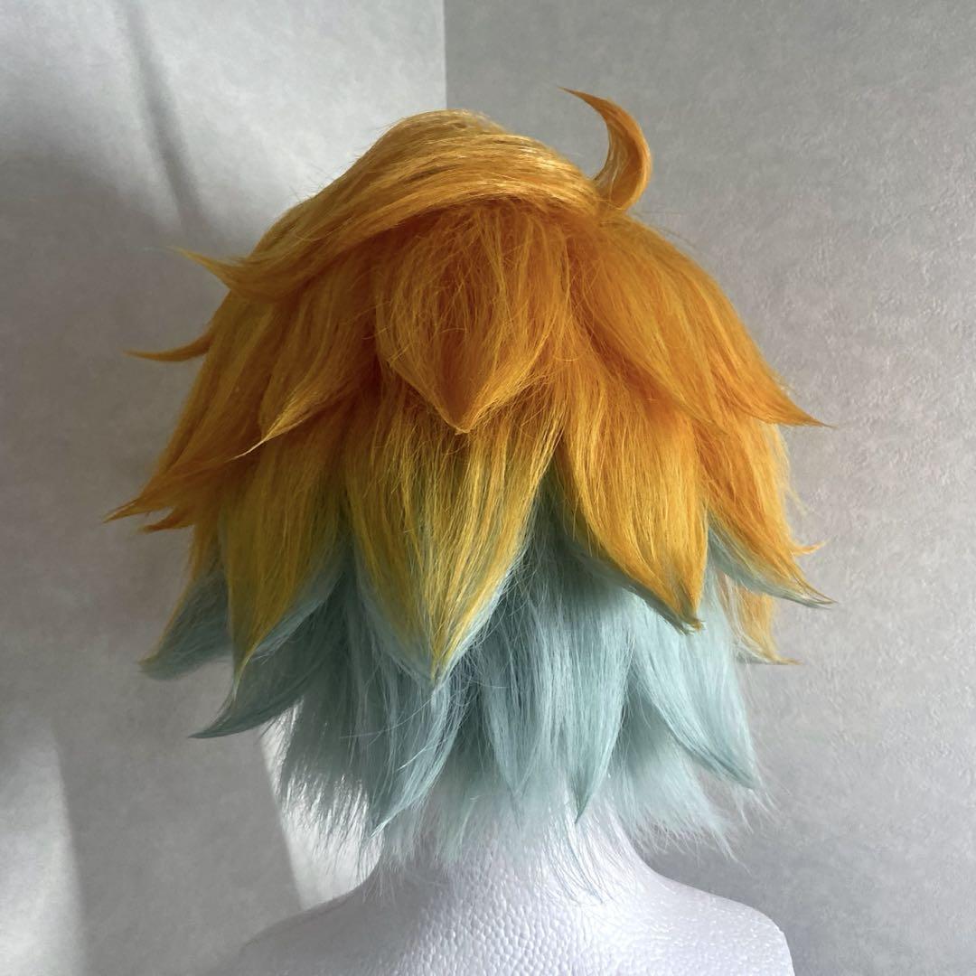 宇佐美リト コスプレ ウィッグ さぼてん様取置き~13日