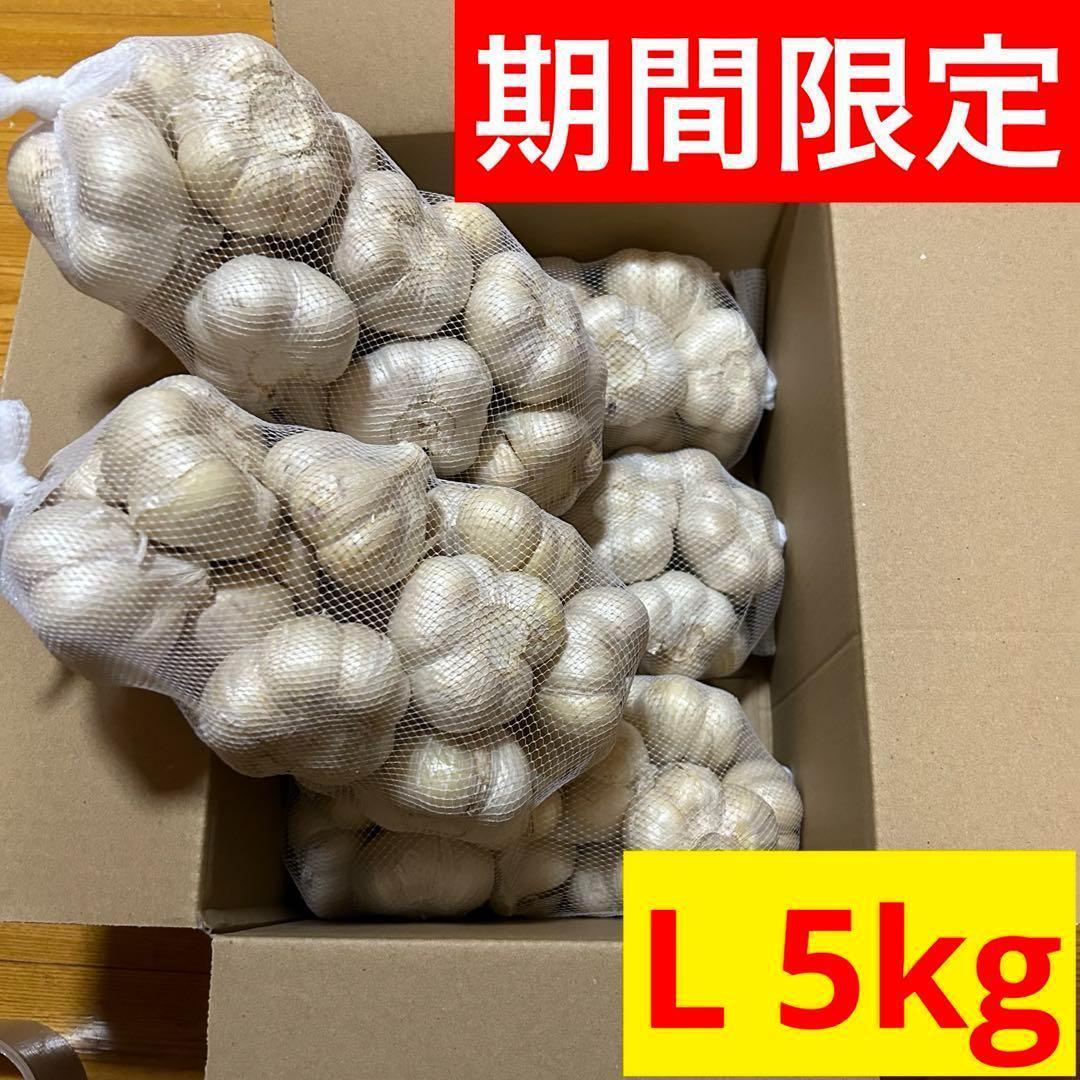 【期間限定】5kg L 青森県産にんにく 福地ホワイト六片 加工 種 お得